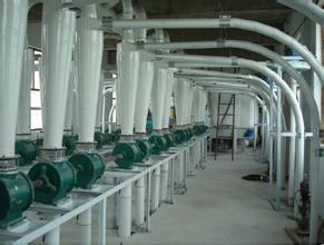 西安面粉廠(chǎng)使用天聯(lián)面粉袋