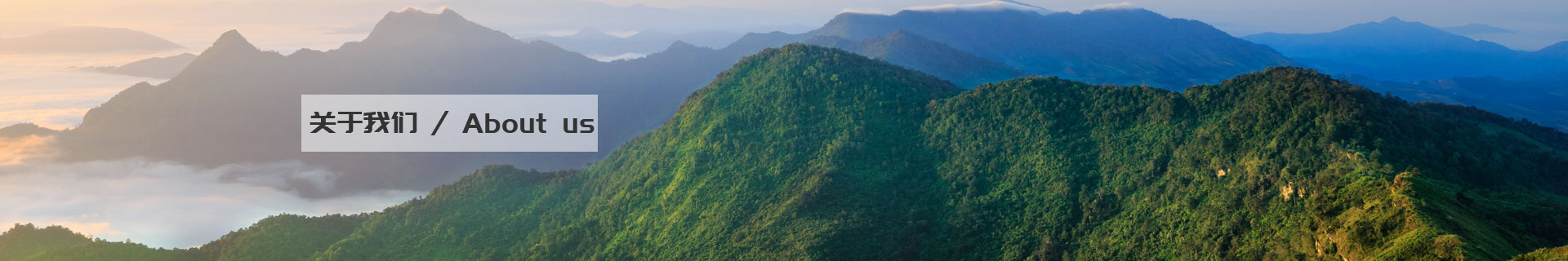 西安市灃渭新區(qū)天聯(lián)編織袋廠(chǎng)